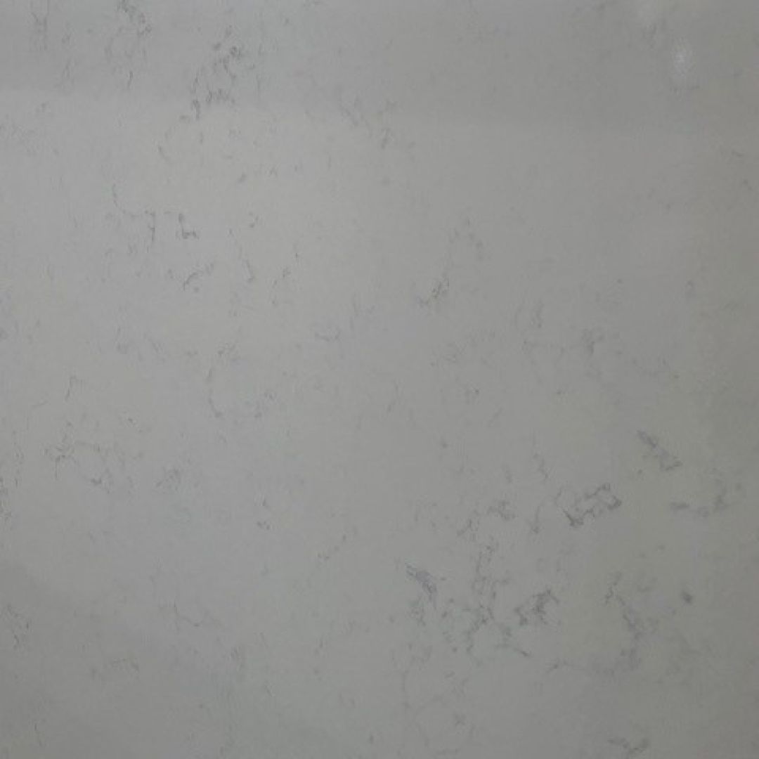 Carrara (Super Jumbo Available)