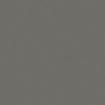 Gris Expo